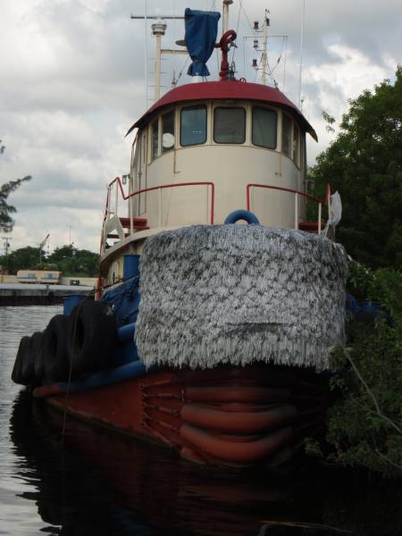 amm10-06.jpg